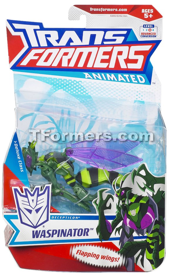 Transformers Animated Waspinator  (6 of 6)
